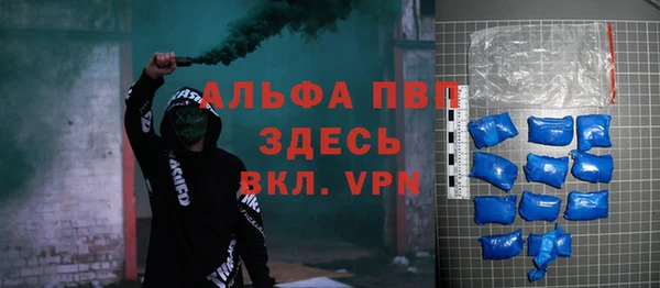 молекула духа Медвежьегорск