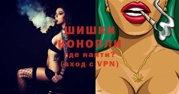 молекула духа Медвежьегорск
