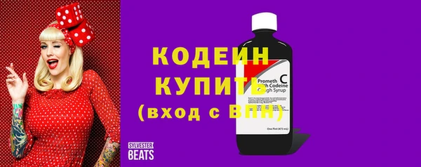 молекула духа Медвежьегорск