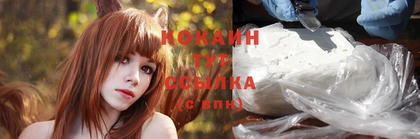 крисы Мегион