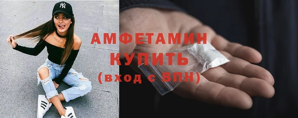 крисы Мегион