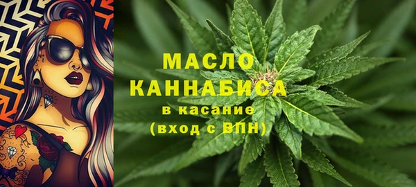 крисы Мегион