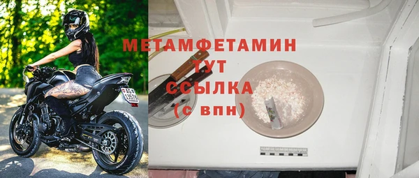 крисы Мегион