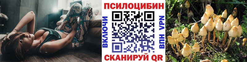 Псилоцибиновые грибы Psilocybine cubensis  хочу   Заринск 