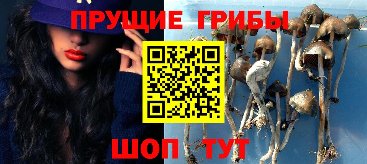 Галлюциногенные грибы прущие грибы Заринск