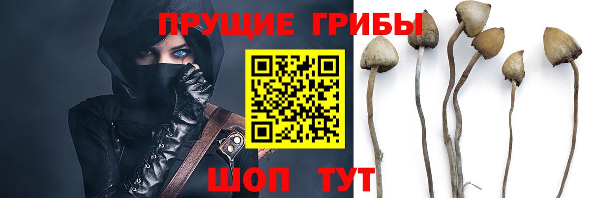 хочу   Вход с VPN  Галлюциногенные грибы GOLDEN TEACHER  Заринск  Псилоцибиновые грибы мухоморы 