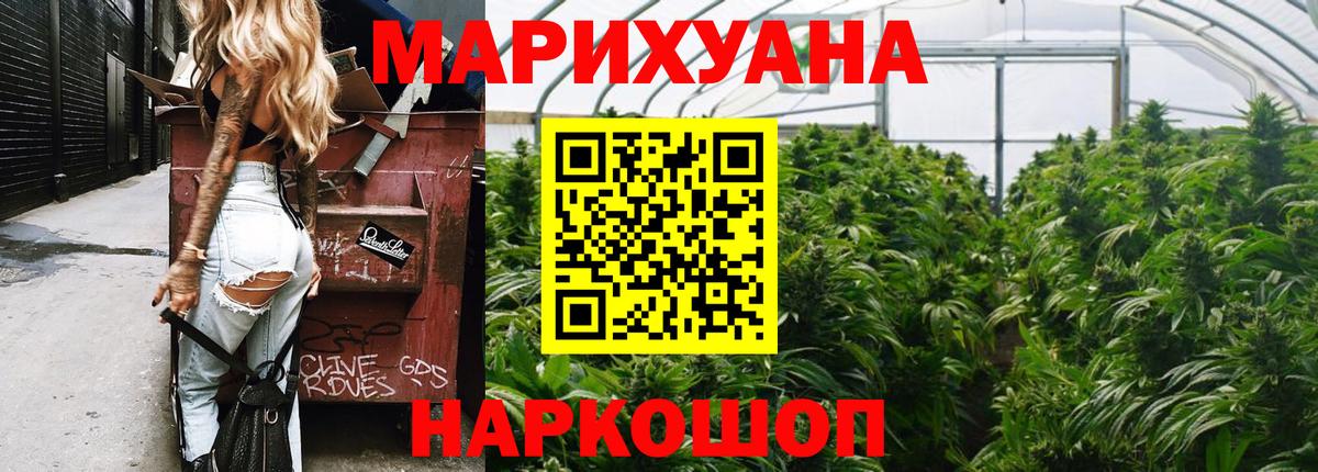 Каннабис планчик Заринск